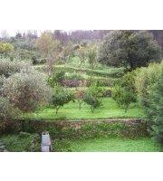 Eric Pille-Ambroselli