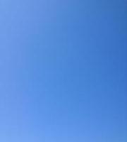 Jean-Michel Miniconi