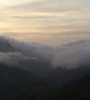 Virginie Lenoble-Viviani