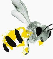 Laurent Cerboneschi-Farrucci