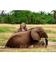 Brigitte Lépine Marinetti