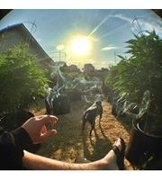 Edward Rivera Ormachea