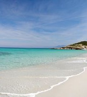 Vanina Saillant Tamagna