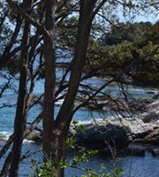 Katiane Dupont Taugan