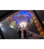 Anne-Alexandra Lazzy