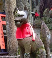 François Le Saux-Mari