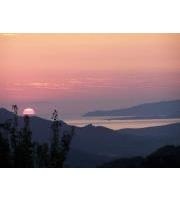 Christine Corti Chasson