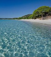 Mathias Garnier-Baldrichi