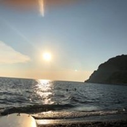 Anne-Marie de Gentile-Campelli