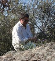 François-xavier Acquaviva