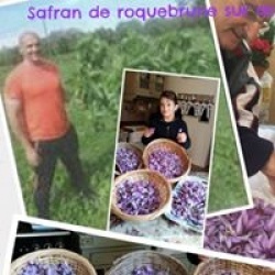 Safran Roquebrune Sur Argens