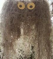 Christiane Boccardo Di Conti