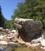 Gisèle Riboulet-Delmas