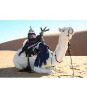 Abdelhamid Mouchahana