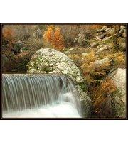 Françoise Pietrapiana