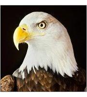 Ghjuvan Carlu Simeoni