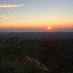 Marie Therese Giacobetti