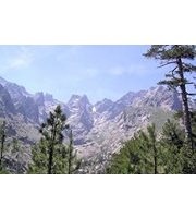 Lucie Stefani-Vesperini