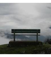 Annick Peigné-Giuly